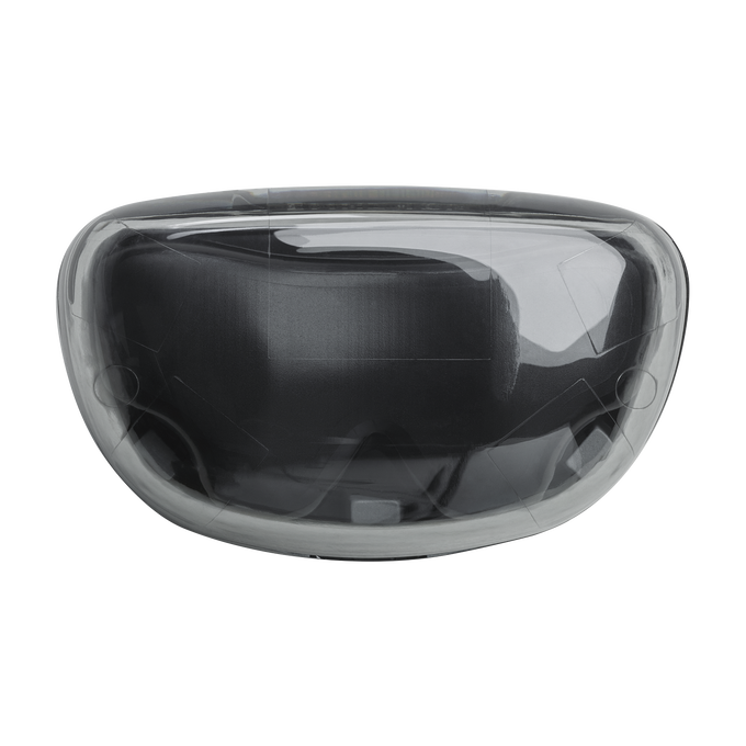 JBL Tune Flex Ghost Edition - Ghost Black - True wireless Noise Cancelling earbuds - Top image number null